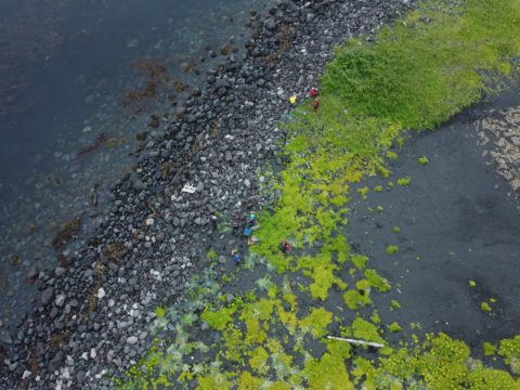 Фотоальбом: Экспедиция на Курильские острова