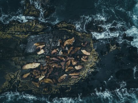 Фотоальбом: Экспедиция на Курильские острова