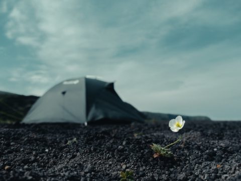 Фотоальбом: Экспедиция на Курильские острова