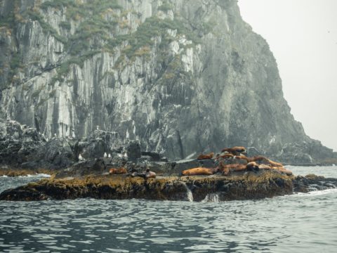 Фотоальбом: Экспедиция на Курильские острова