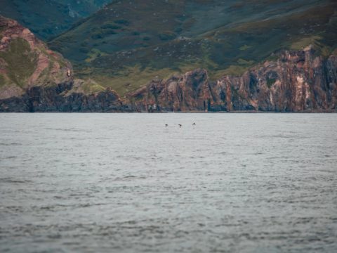 Фотоальбом: Экспедиция на Курильские острова