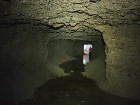 Фотоальбом: Экспедиция на Курильские острова