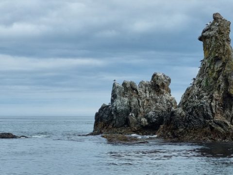 Фотоальбом: Приключенческий тур по Сахалину и Кунаширу