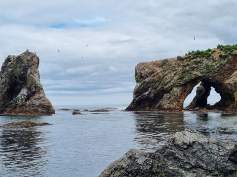 Фотоальбом: Приключенческий тур по Сахалину и Кунаширу