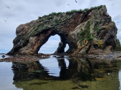 Фотоальбом: Приключенческий тур по Сахалину и Кунаширу