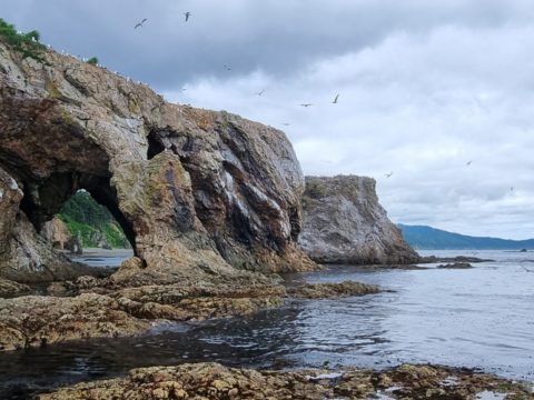 Фотоальбом: Приключенческий тур по Сахалину и Кунаширу