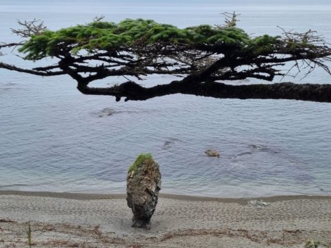 Фотоальбом: Приключенческий тур по Сахалину и Кунаширу