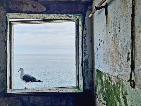 Фотоальбом: Приключенческий тур по Сахалину и Кунаширу