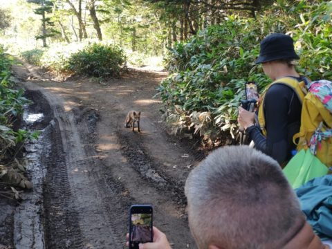 Фотоальбом: Приключенческий тур по Сахалину и Кунаширу