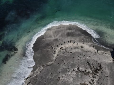 Фотоальбом: Экспедиция на Северные Курильские острова