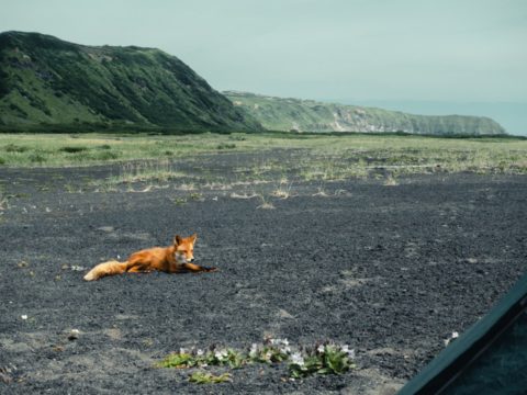 Фотоальбом: Экспедиция на Северные Курильские острова