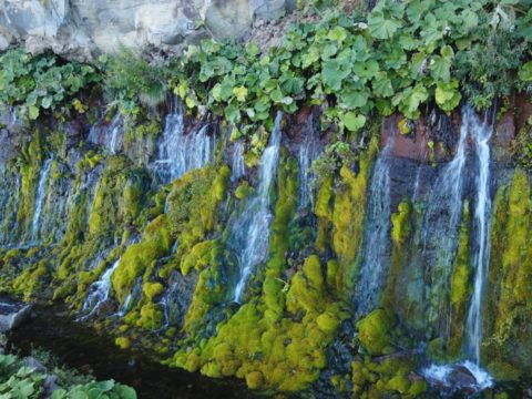 Фотоальбом: Экспедиция по Южным Курильским островам