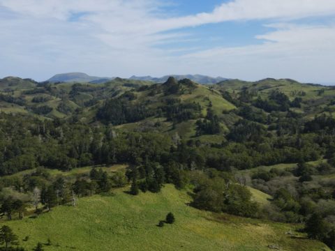 Фотоальбом: Экспедиция по Южным Курильским островам